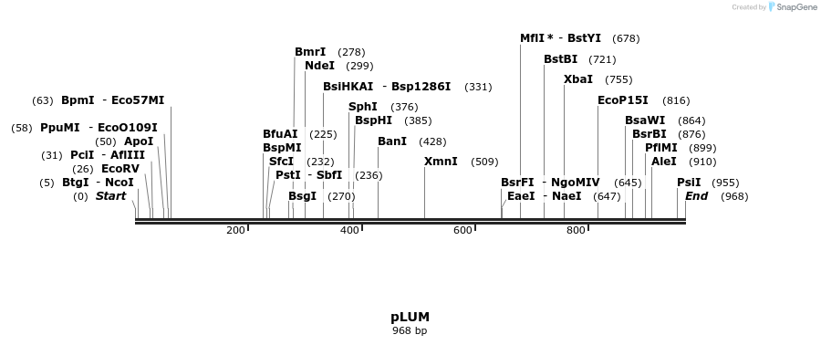 111592_map