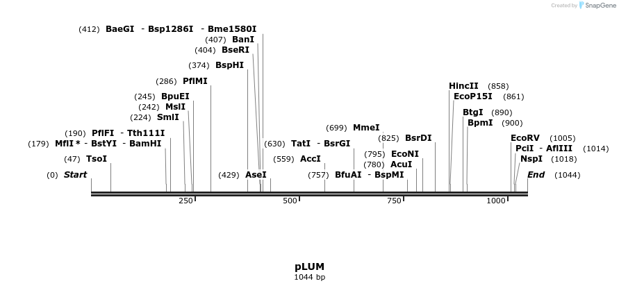 111594_map