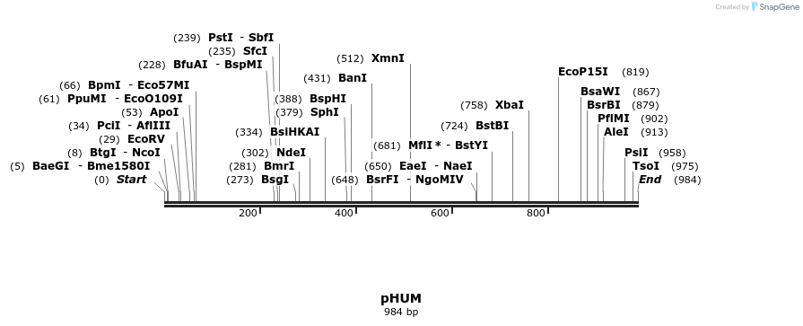 111598_map