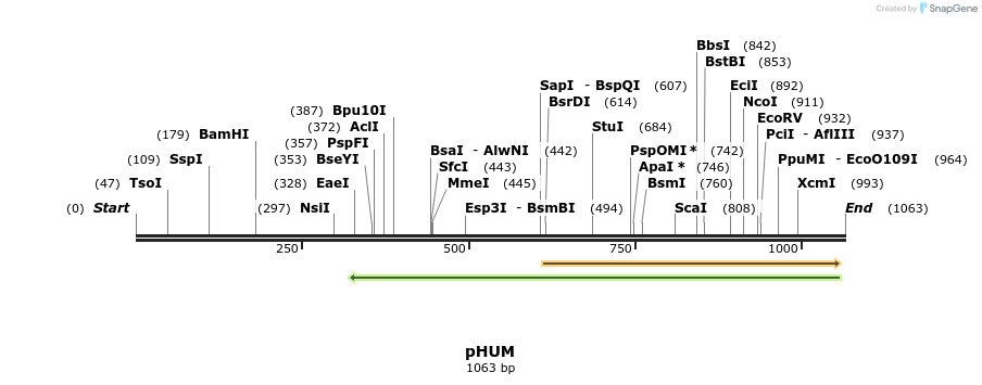 111599_map