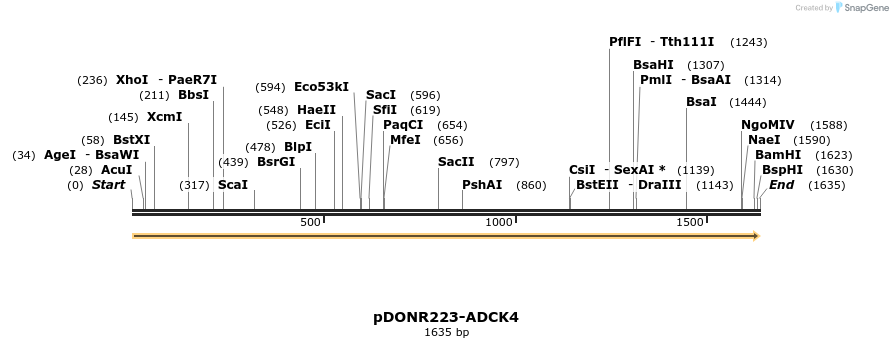 11160_map