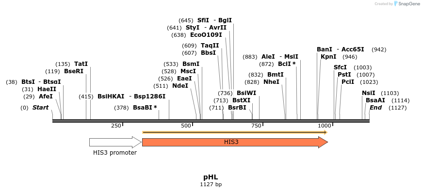 111601_map