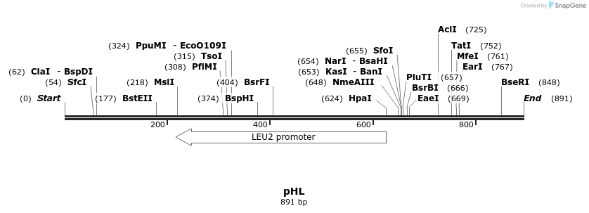 111602_map