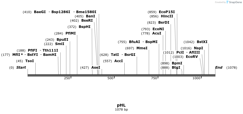 111605_map
