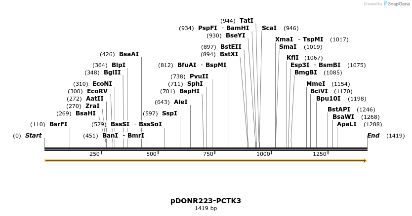 11161_map