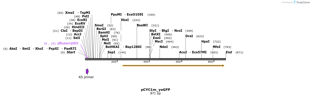 111617_map