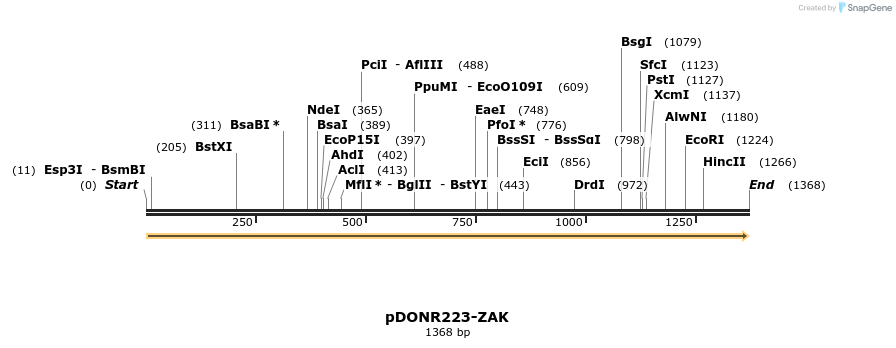 11162_map