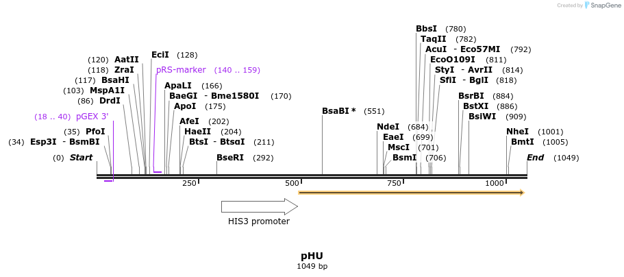 111621_map