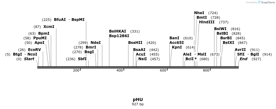 111623_map