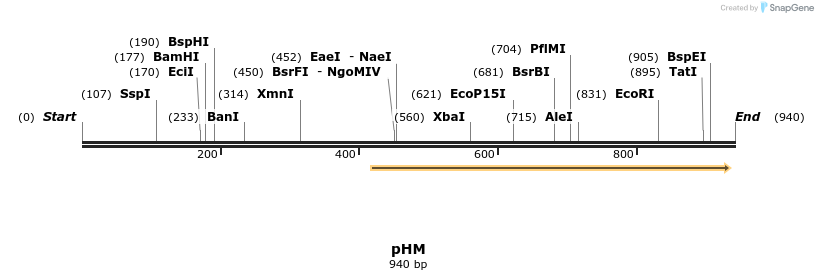 111630_map