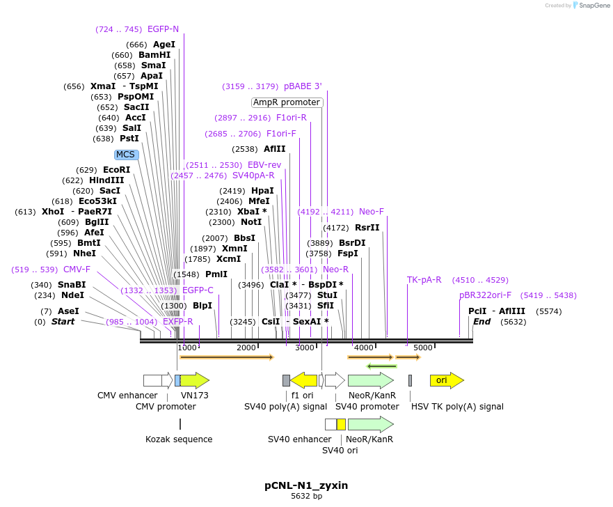 111653_map