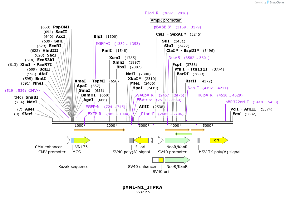 111658_map