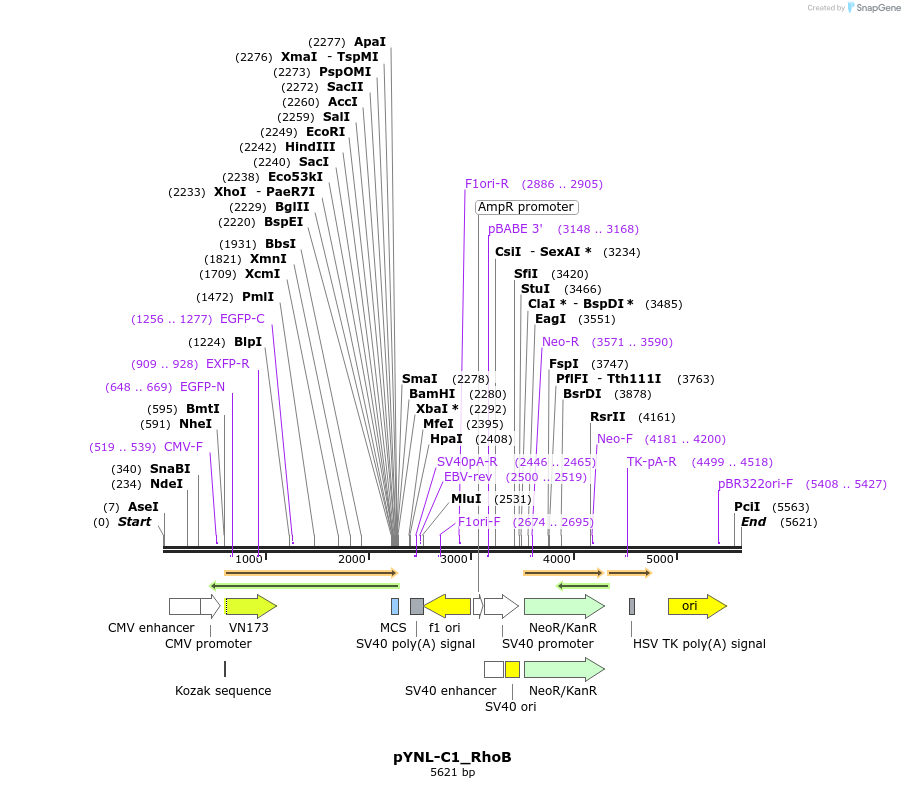 111670_map