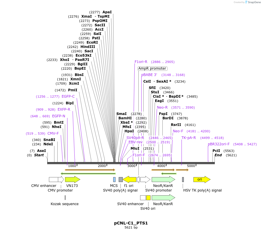 111674_map
