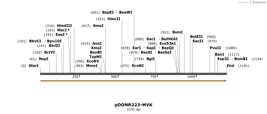 11168_map