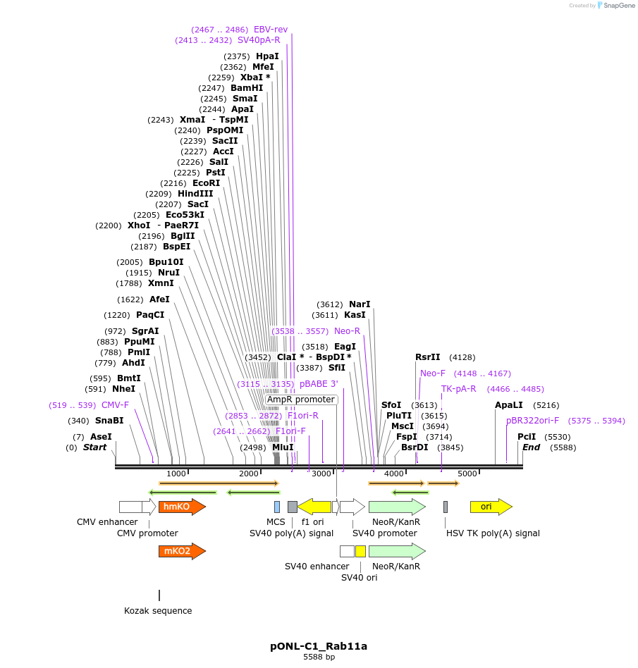 111681_map