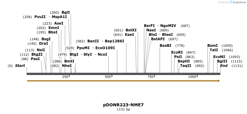 11169_map