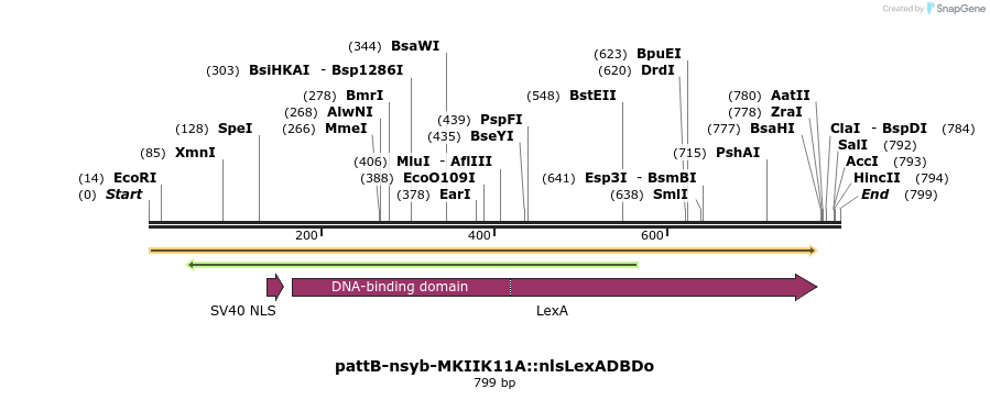 111695_map