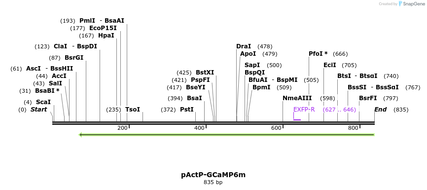111699_map