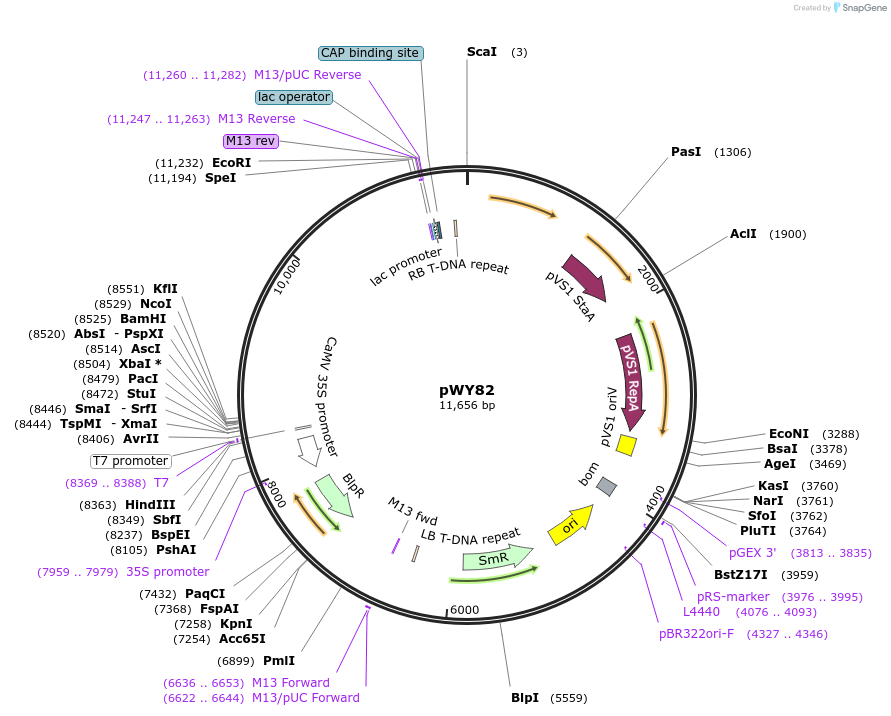111701_map
