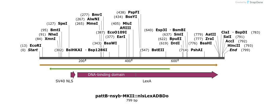 111702_map