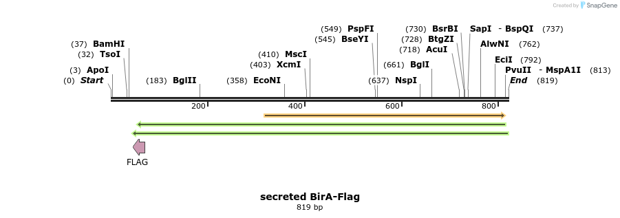 111708_map