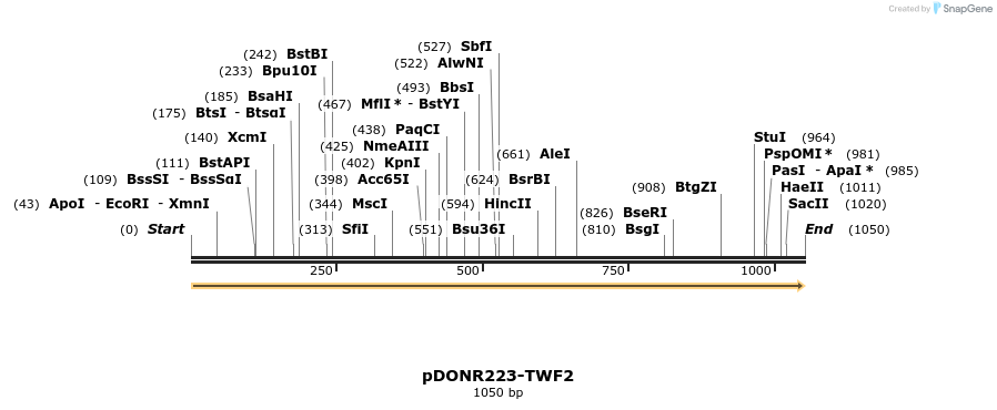 11171_map