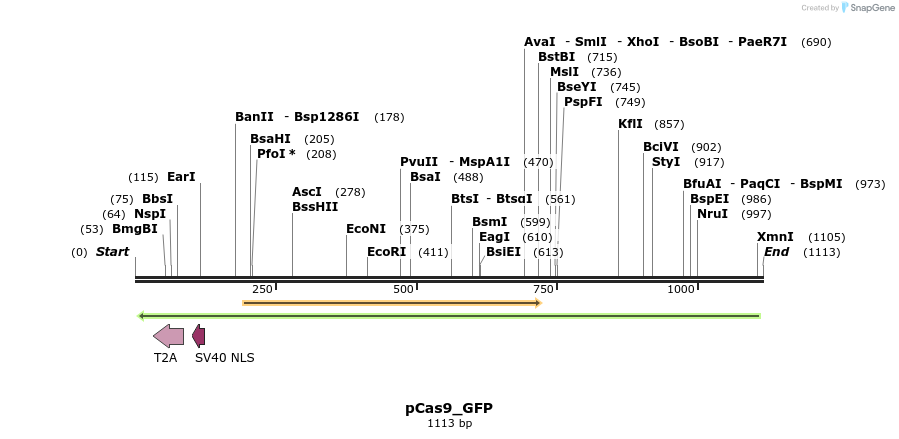111712_map