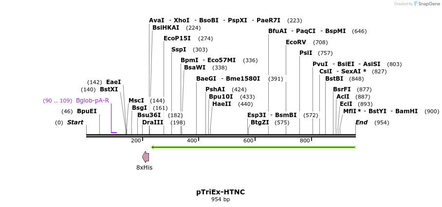 111713_map