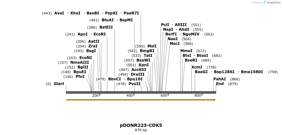 11172_map