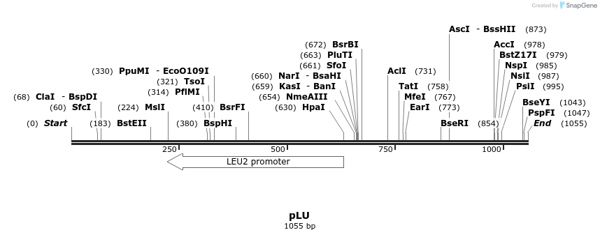 111721_map