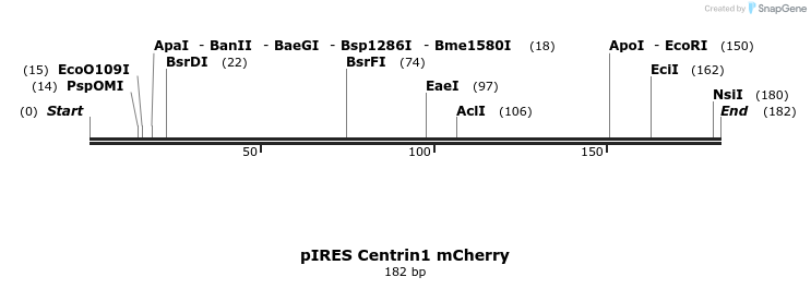 111724_map