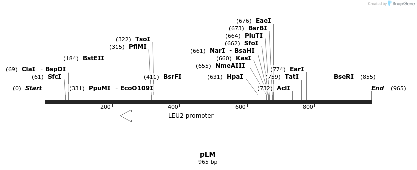 111728_map
