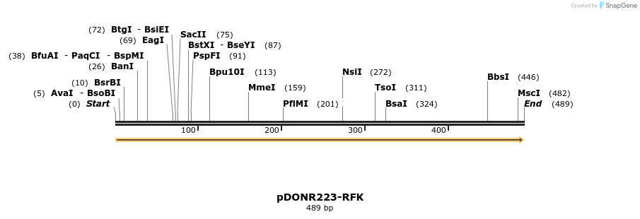 11173_map