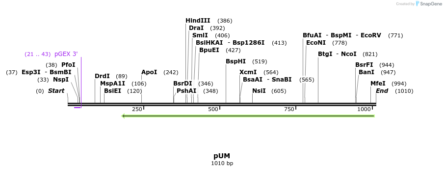 111738_map