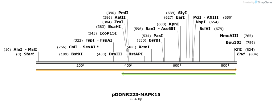 11174_map