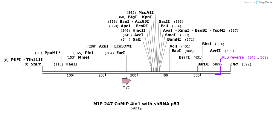 111742_map