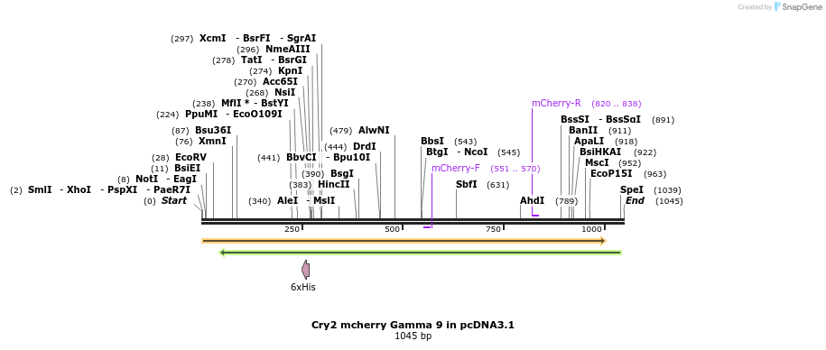 111743_map