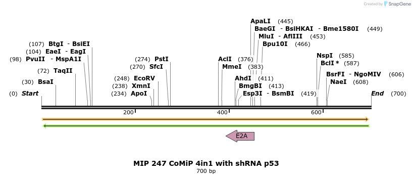 111744_map