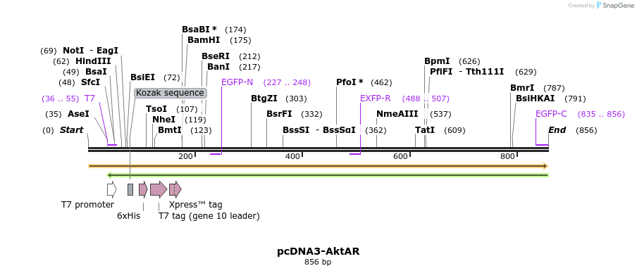 111745_map