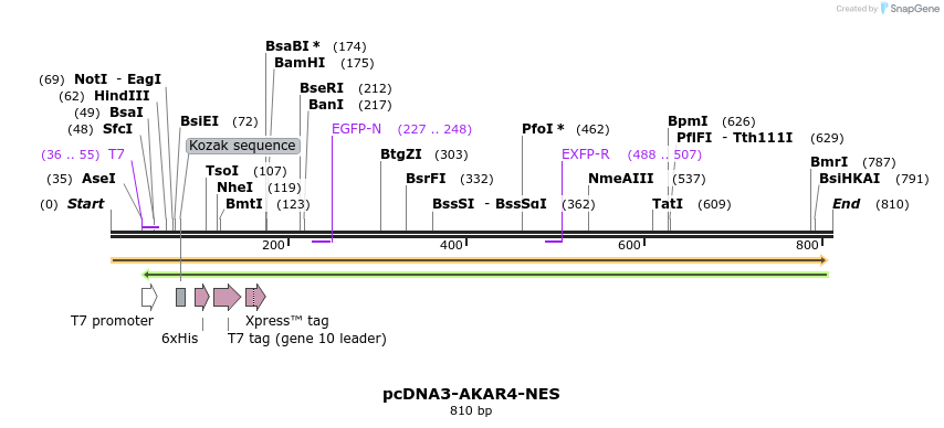 111749_map