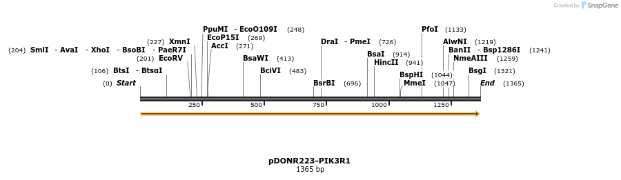 11175_map