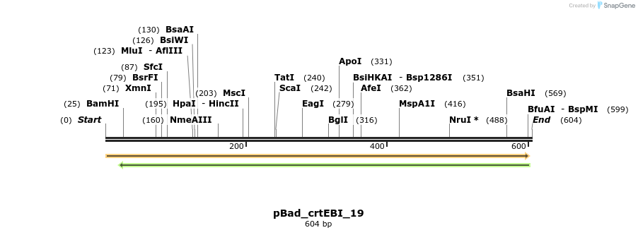 111751_map