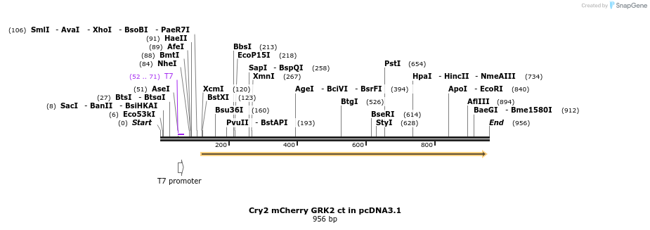 111753_map