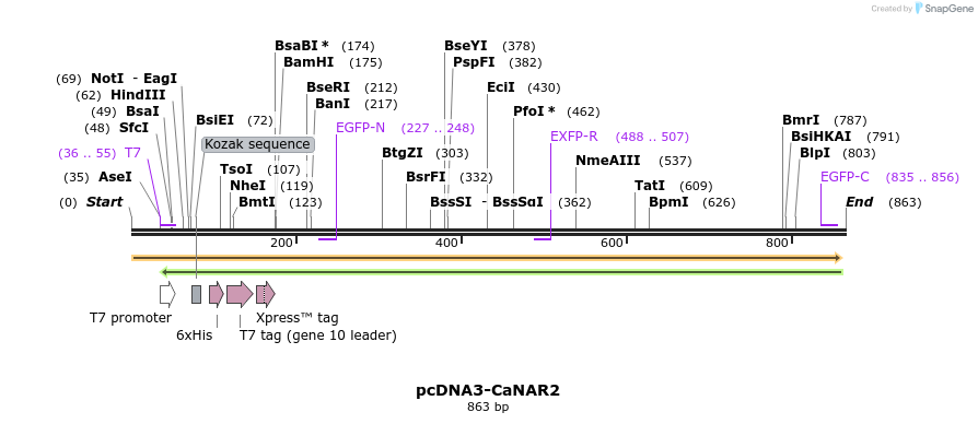 111754_map