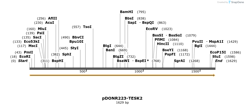 11176_map