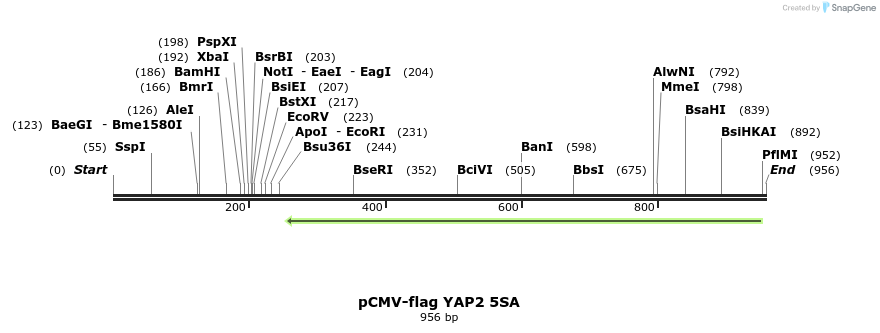 111763_map