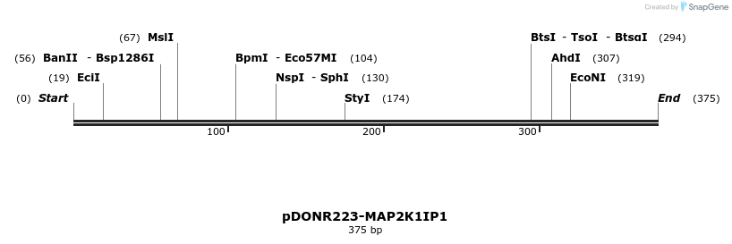 11177_map