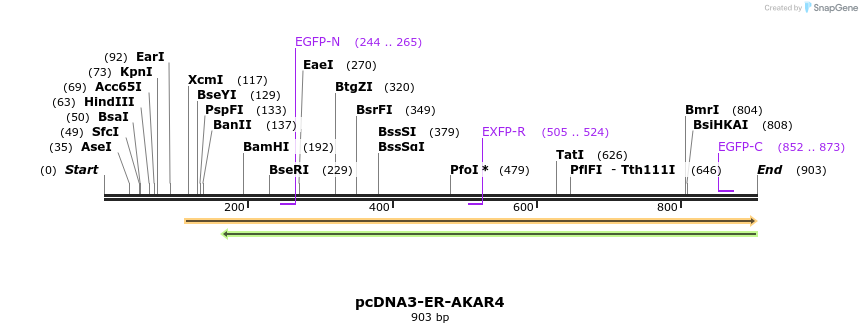 111771_map