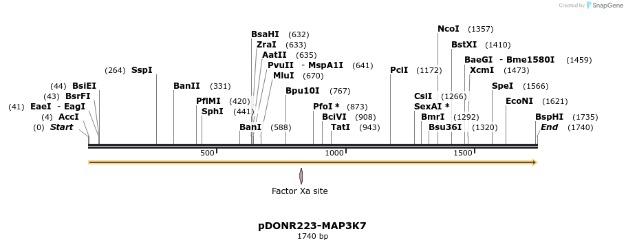 11178_map